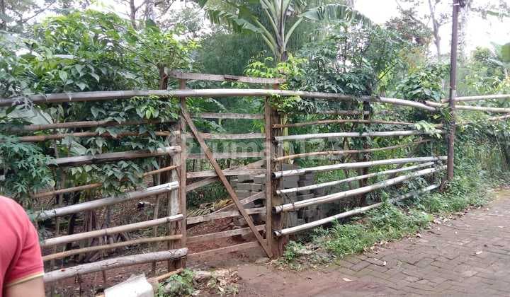 Tanah Kosong Zona Kuning 100 Meter Dari Jalan Grafika Raya Banyumanik Semarang