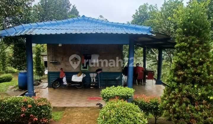 Jual Lahan Perkebunan di Kelapa Nunggal Sukabumi