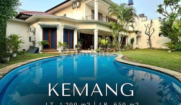 Luxurious House Halaman Luas di Kemang, LT 1200 LB 650