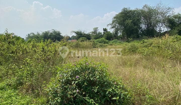 DIJUAL TANAH STRATEGIS!! Lokasi Dekat Pintu Tol & Cocok Untuk Perumahan/Perdagangan Serta Jasa (Multiguna)