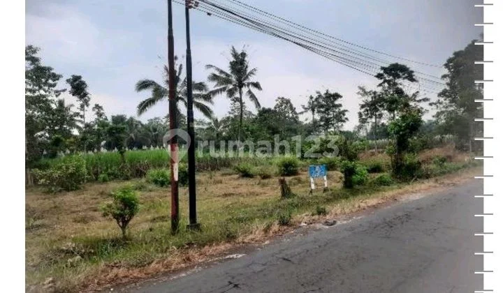 Cheap Land in Singosari Cheap Land in Singosari