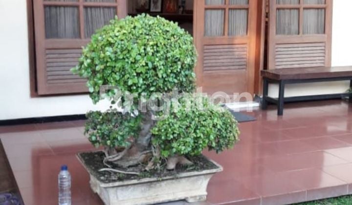 Rumah Besar Murah