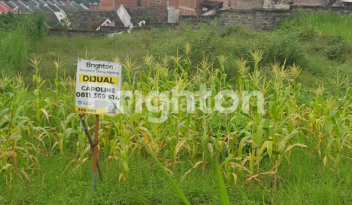 Very cheap large land