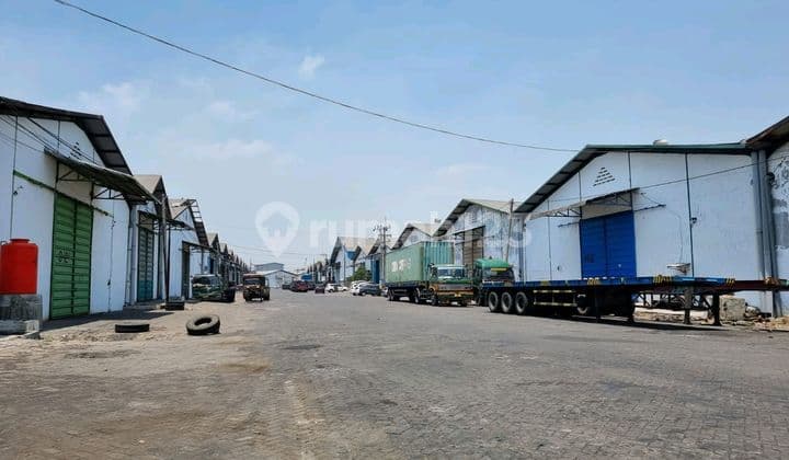 Gudang Siap.pakai Angtropolis Bebas Banjir