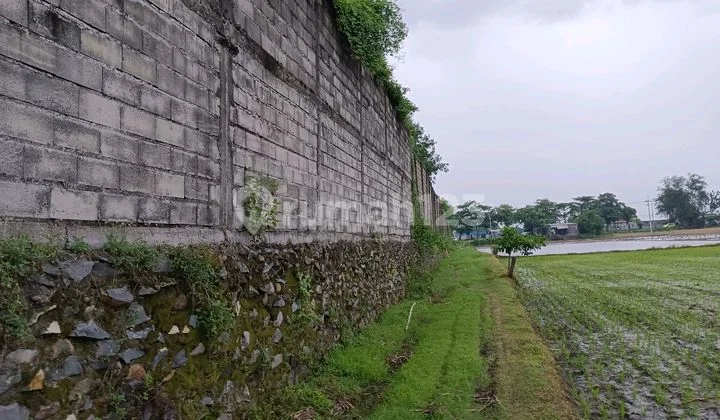 Tanah Industri Raya Cerme Gresik Siap Bangun Dekat Tol. Tanah Industri Raya Cerme Gresik Siap Bangun Dekat Tol.