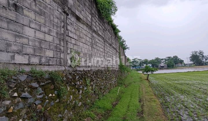 Tanah Industri Raya Cerme Gresik Siap Bangun Dekat Tol.
