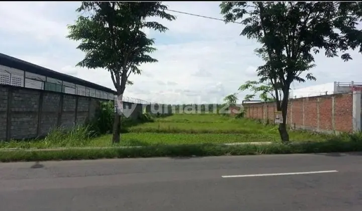 Tanah Industrial.raya Ngembung Cerme.kontainer Loss