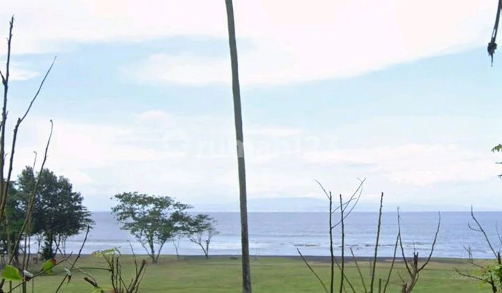 Premium Land Directly on the Beach Near Flamingo Beach Gianyar Bali Premium Land Directly on the Beach Near Flamingo Beach Gianyar Bali