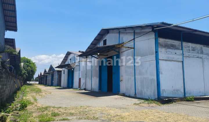 Gudang Bagus Siap Pakai Raya Gempol Pasuruan