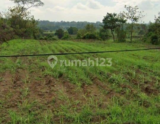 Tanah Industri Murah Jombang Siap.bangun