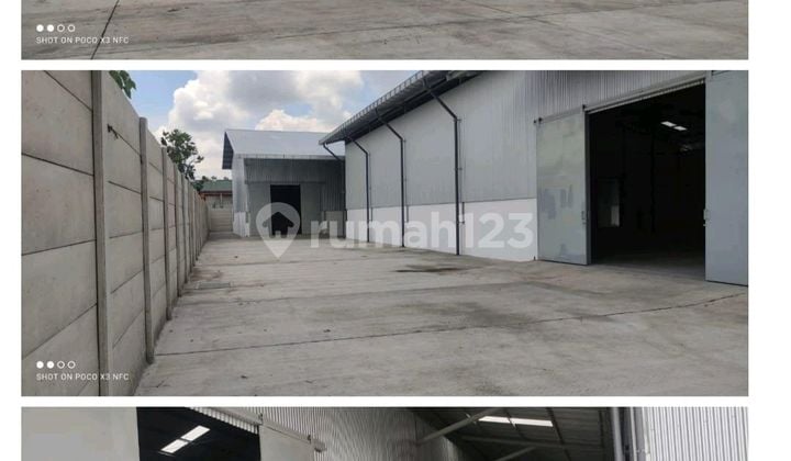 Gudang Ciamik Siap.pakai Raya Wringinanom Gresik