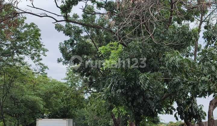 Tanah Dekat Duta Garden Lt 2.9ha Pinggir Jalan Hrg10jt/m