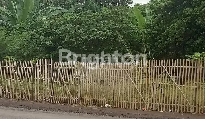 Tanah Pinggir Jalan Raya Bojonegara Serang