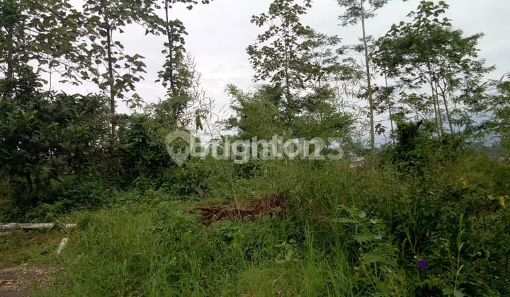 Tanah Strategis Daerah Poros Tidar Malang