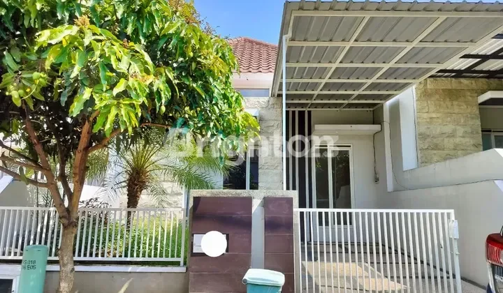 Rumah Sewa - Kontrakan Kosongan Bagus Daerah Dieng Malang