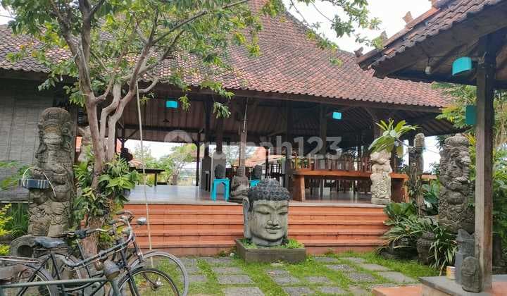 Disewakan ex cafe di Ry Tukad Balian view sawah