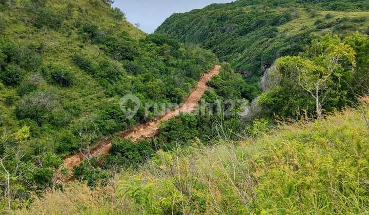Dijual Tanah Cliff Lokasi Desa Sekartaji Nusa Penida
