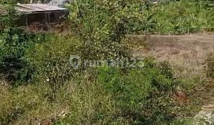 Tanah 4,5 Are Lokasi di Cargo Denpasar