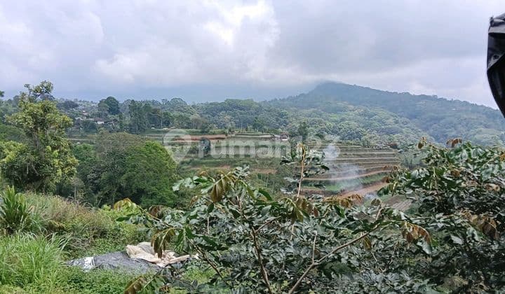 Land for Rent on Main Road Bedugul - Baturiti
