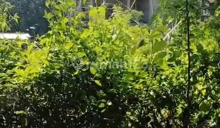 Dijual Tanah Darmawangsa Nusadua