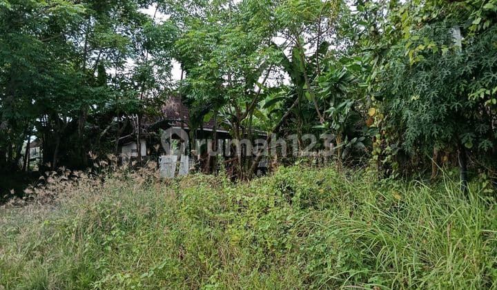 Dijual Tanah Dekat Pantai Kramas - Gianyar