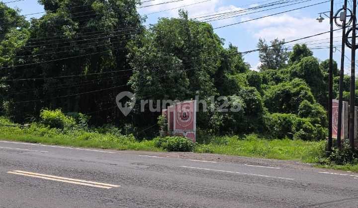 Dijual Tanah Istimewa Bangsal Mojokerto