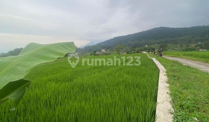 Dijual Tanah Pacet Dekat Tempat Wisata