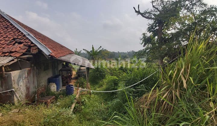 Tanah Ada Mata Air di Jalan Desa Wanayasa, Wanayasa SHM 1.6 Ha