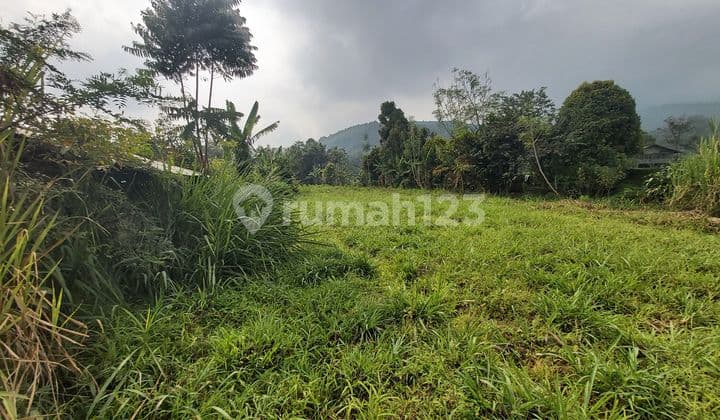 Tanah Ada Mata Air di Jalan Desa Wanayasa, Wanayasa SHM 1.6 Ha