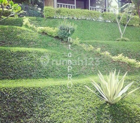 RUMAH MINIMALIS MODERN DAGO PAKAR RESORT