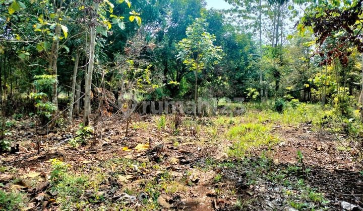 Tanah Luas Strategis Bagus Di Desa Cimayasari Cipeundeuy Subang