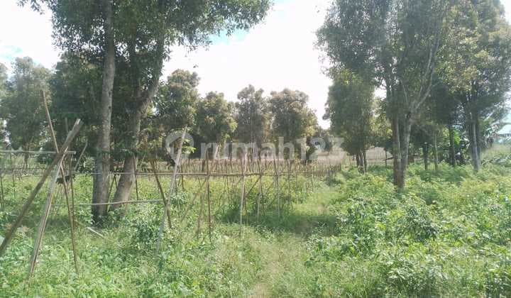 Tanah Luas Strategis Cocok Untuk Usaha di Cisarua Sukabumi