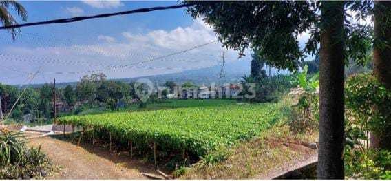 Tanah Luas di Desa Desa Cigendil Cianjur