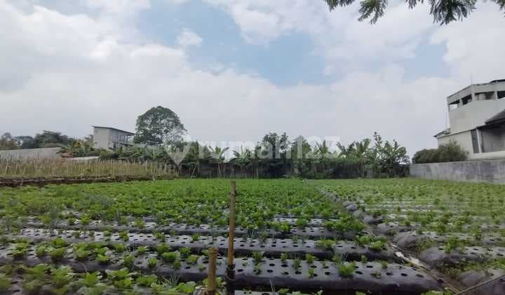 Tanah Luas Strategis di Setiabudi Indah Bandung