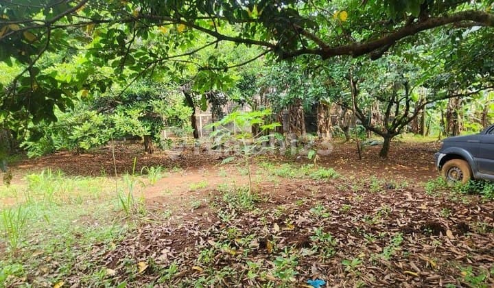 Tanah Murah 2630 m2 SHM Cireundeu, Tangerang