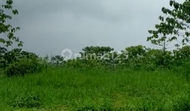 FOR SALE QUICKLY LAND GREEN LEAF SINGOSARI MALANG