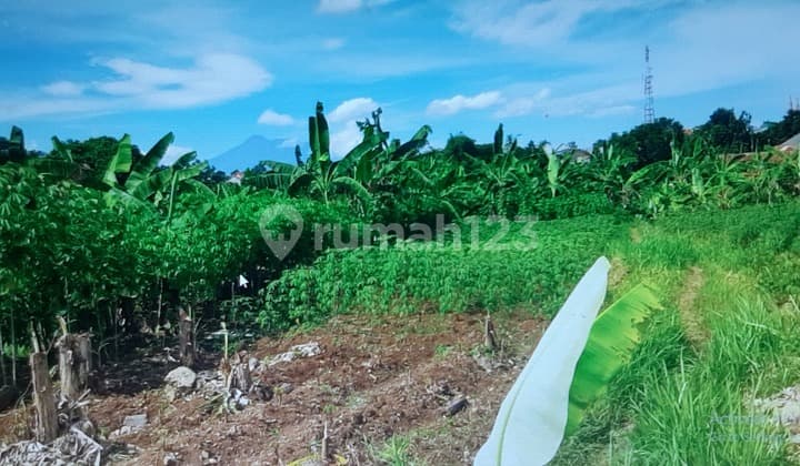 Tanah Kosong satu Hamparan Bogor