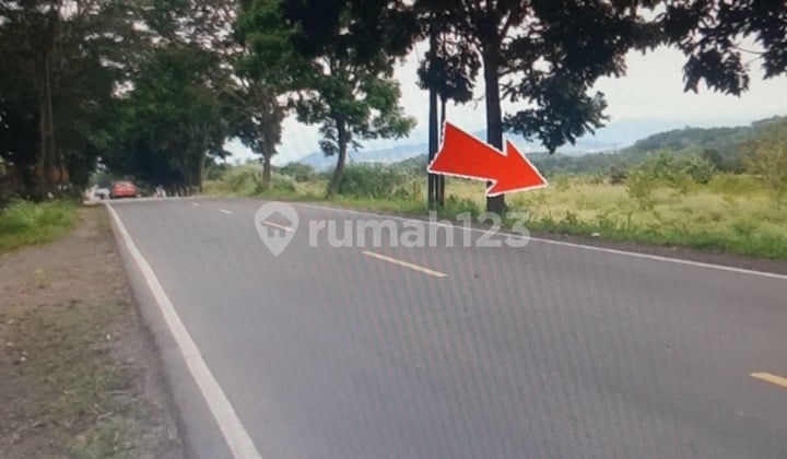 Tanah kosong satu hamparan