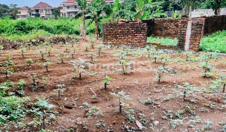Tanah Kosong Bogor Lakeside Bogor Utara Kota Bogor