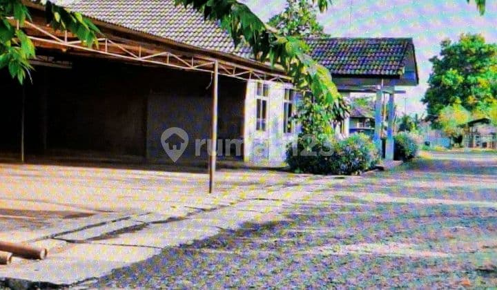 Tanah Untuk Peternakan Sapi