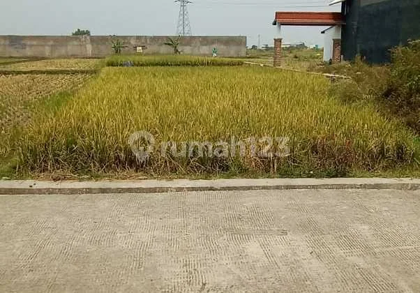 Tanah Area Sejuk di Mahmud, Margaasih Tanah Area Sejuk di Mahmud, Margaasih