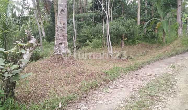 Tanah Area Ramai Cocok Dibangun Penginapan di Pangandaran