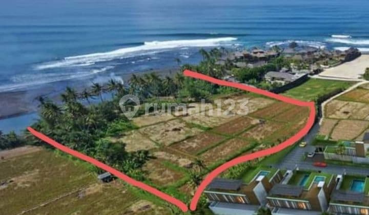 FOR SALE LAND ON THE BEACH IN PABEAN GIANYAR BALI