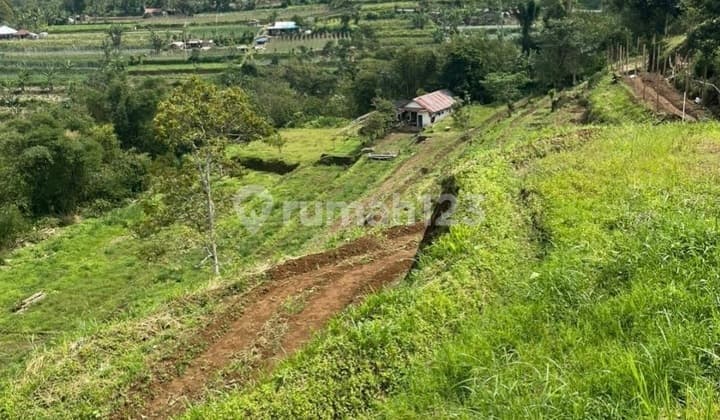 Dijual Tanah View Bagus Di Baturiti Bedugul Bali