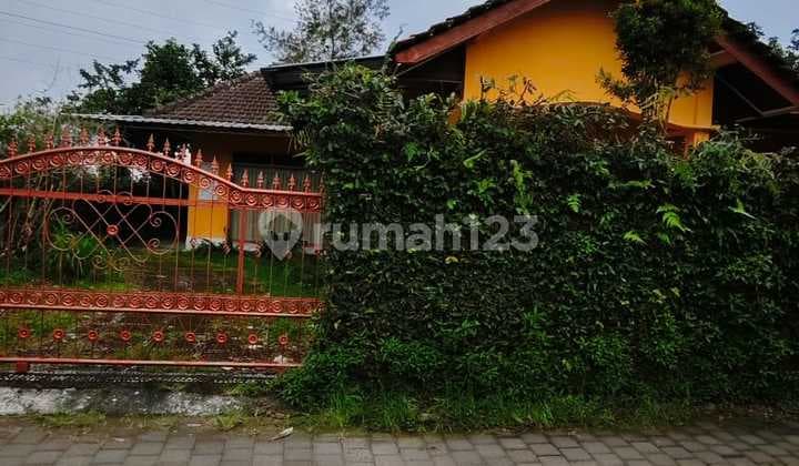 Dijual Rumah di Dekat Kebun Raya Bedugul Bali