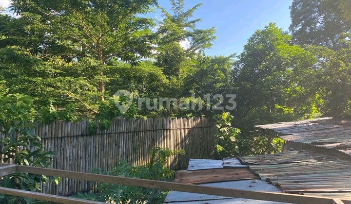 Land For Sale / Dijual Cepat Tanah 1028 M2 Cocok Utk Perumahan Lokasi Strategis Di Jl.sekar Tunjung, Denpasar Timur Bali,dekat Gatsu, Sanur, Renon