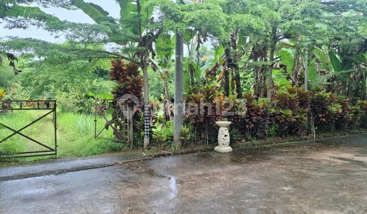 Tanah Jl Cilubang Mekar Dramaga Kec Cikarawang