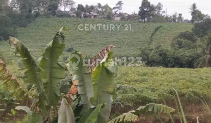 Wide Plot Near Toll Gate on Jl Raya Parung Kuda Sukabumi