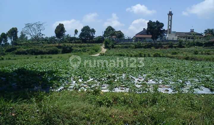 Tanah Jl Raya Pacet Cianjur