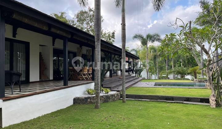 Big Garden Luxury Villa Mediterranean Style in Canggu